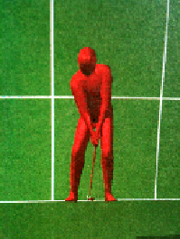 3D Golf Instruction Software