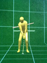 3D Golf Instruction Software