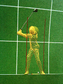 3D Golf Instruction Software