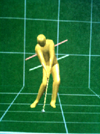 3D Golf Instruction Software