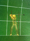 3D Golf Instruction Software