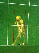 3D Golf Instruction Software