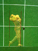 3D Golf Instruction Software